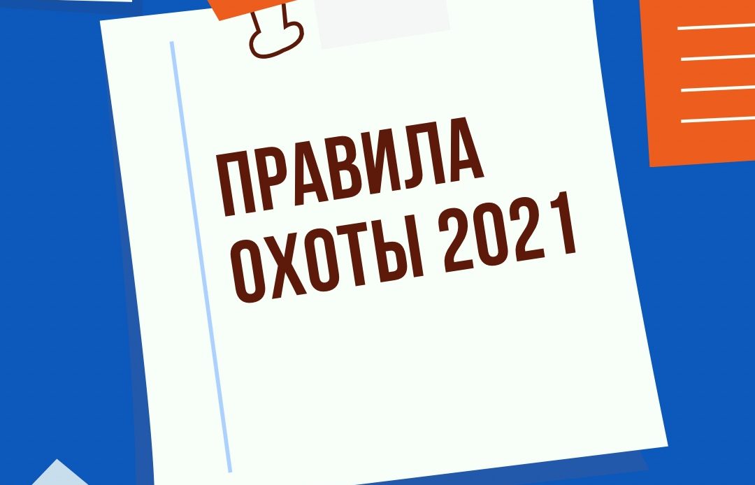 Правила охоты устанавливают требования к ос