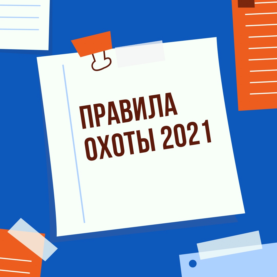 Правила охоты устанавливают требования к ос