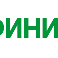 Финин
