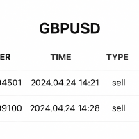 Sferainvesting Com