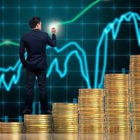 Vip Gold investor