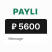 Payli