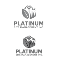 Platum