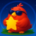 Stars Birds